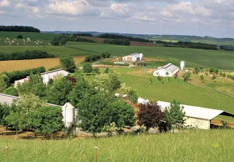 Dans un rapport sur la politique d'installation et de transmission, la Cour des comptes propose d'ouvrir la DJA (dotation jeunes agriculteurs) aux plus de 40 ans.