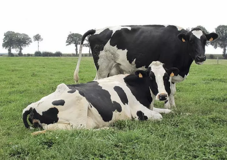 Imbroglio autour du prix payé aux producteurs de lait par Lactalis. À la suite des révélations du Monde, de nombreuses voix se sont élevées protestant contre toute baisse unilatérale du prix du lait. Le groupe mayennais rétropédale et rappelle que le prix sera « fixé en accord avec les organisations de producteurs dans le cadre de contrat-cadre ».