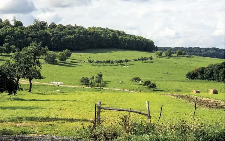 Après de premiers ajustements en commission des Affaires économiques, le Sénat a apporté sa dernière touche au projet de loi sur la gestion des risques climatiques. Une ultime négociation aura lieu avec les députés en commission mixte paritaire (CMP) dans une semaine.