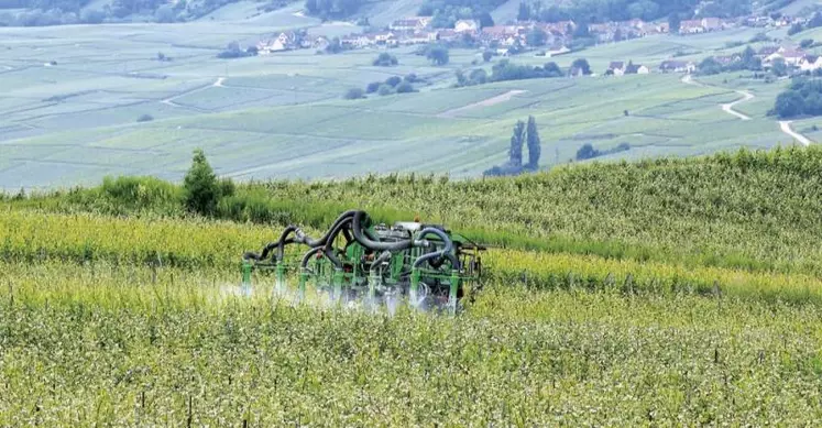 La récente annonce de l'Anses d'interdire la majorité des usages du S-métolachlore a fait resurgir le sujet de la gouvernance des autorisations de mise sur le marché (AMM) des pesticides. La FNSEA veut revenir sur la décision de Stéphane Le Foll de transférer cette compétence à l'Anses. Marc Fesneau plaide pour davantage de « coordination ».