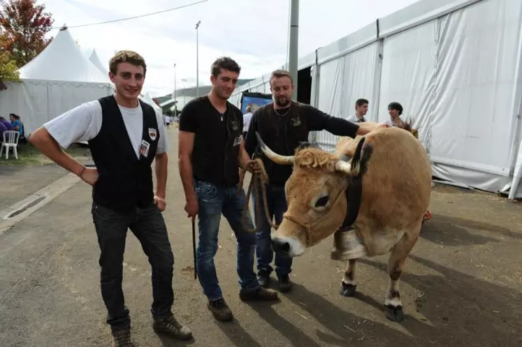 Jéremy Lahondes, Kévin Ranc et Mathieu Rodier avec une Aubrac Lozérienne.