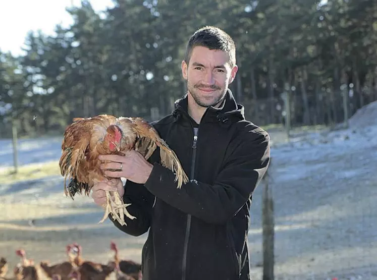 Une fois transformées, les volailles de la Maison Delcros prennent plusieurs chemins : vente à la ferme, marchés et magasin de producteur.