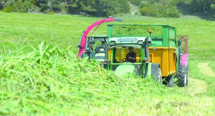 L’ensilage est un temps fort d’entraide agricole et il est très souvent réalisé avec du matériel en Cuma.