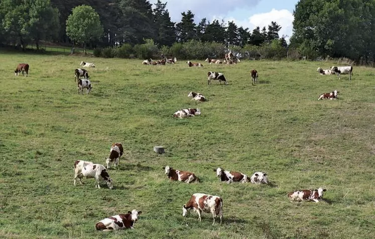 Depuis 2015, la coopérative Sodiaal a développé sa collecte en lait bio pour répondre à la demande d'un marché porteur. Sur l'ensemble du territoire, en 2020, 730 exploitations ont été collectées pour un volume de lait bio de 204 millions de litres (92 exploitations sont en cours de conversion).