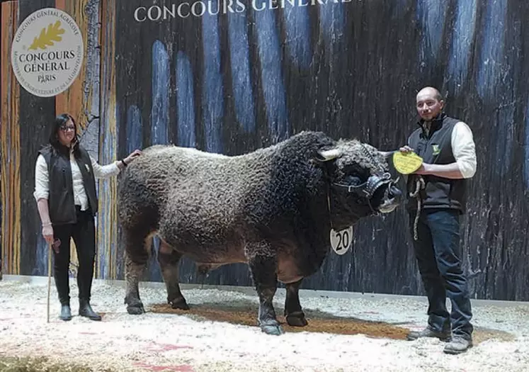 Imanol du Gaec Batifol, premier prix du championnat mâle.