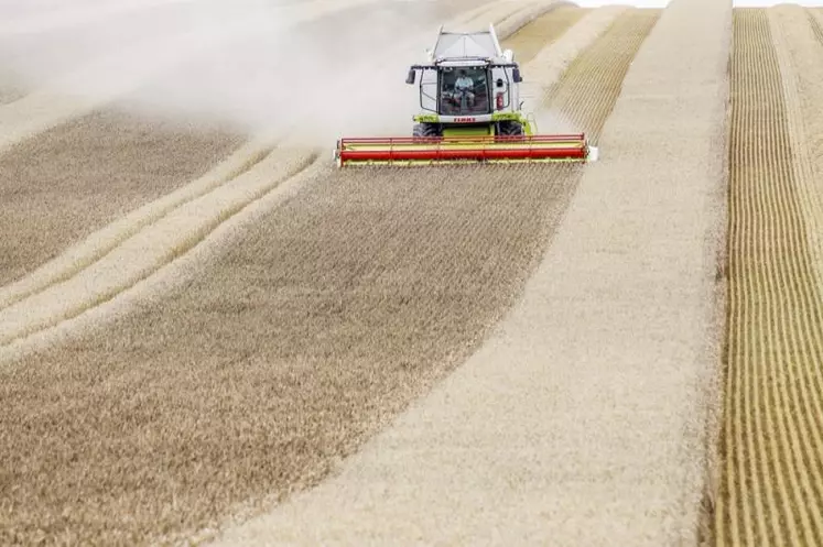 La production agricole se redresserait en 2017 après avoir lourdement chuté l’an passé en raison de conditions météorologiques exceptionnellement mauvaises.