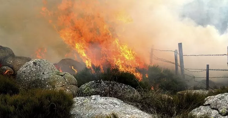 Plusieurs feux en tas et écobuages ont échappé au contrôle ces derniers jours en Lozère, provoquant des incendies sur des dizaines d’hectares de landes et de bois voisins.
