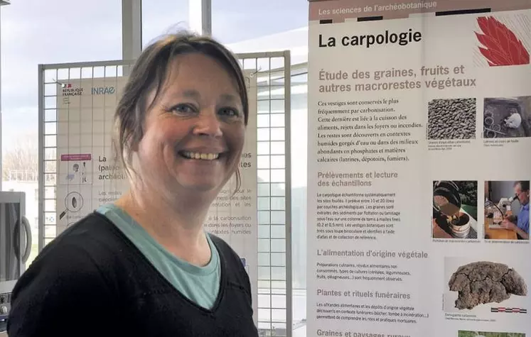 Manon Cabanis étudie la carpologie au sein de l'Inrap.