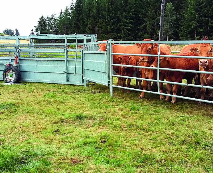 Le parc d’attente permet de rassembler les animaux avant manipulation. Pour manipuler vos bovins en sécurité, optez pour la contention mobile.