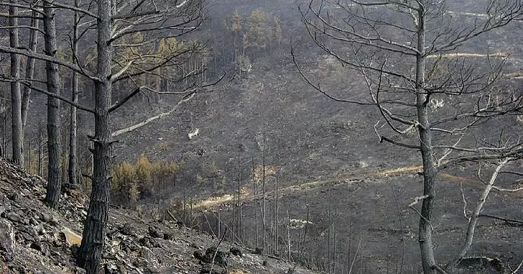 Plusieurs mesures sont éligibles sont le cadre de la lutte contre les incendies : broyage manuel, broyage mécanique ou brûlage dirigé, etc.