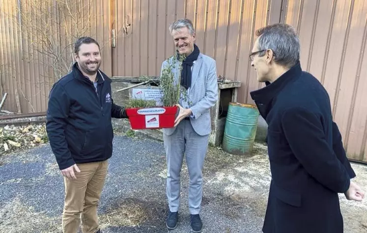 Jeudi 23 novembre, le directeur de la Draaf Occitanie, Florent Guhl, est venu en Lozère pour participer à un comité de pilotage départemental sur les campagnols, en présence des acteurs de territoire et des syndicats agricoles. L'après-midi sur le causse de Sauveterre, il a évoqué avec les agriculteurs la problématique des prairies sensibles.