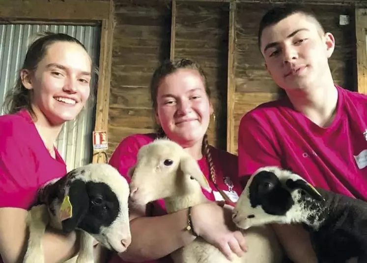 Samedi 26 février, Théo Vieillescazes, Julie Cayrel et Elsa Maymard, étudiants au lycée Terre Nouvelle, ont été sélectionnés lors des Ovinpiades collectives pour présenter leur projet au salon de l’agriculture à Paris