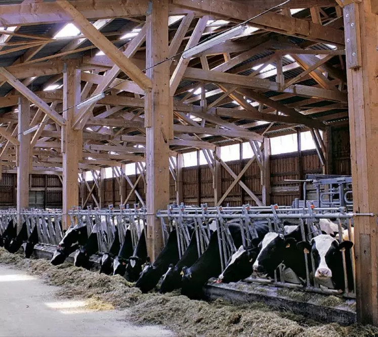 Charpente bois pour un bâtiment vaches laitières.