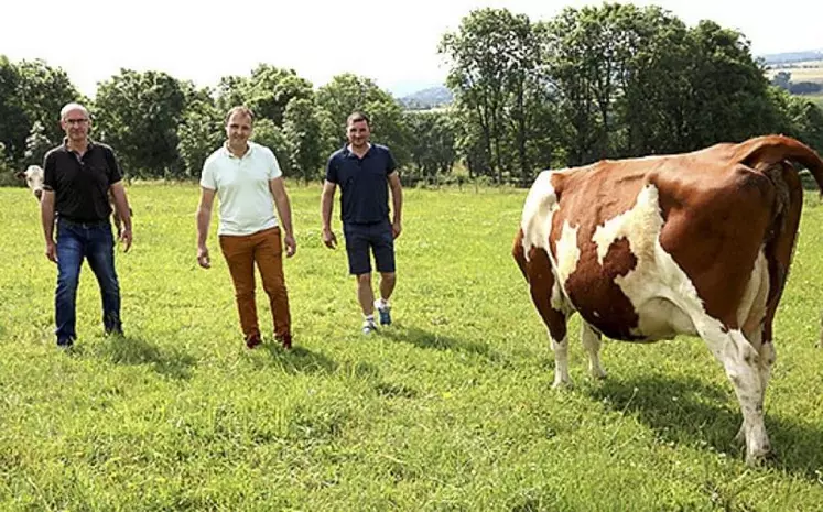 Avec une visibilité à six mois sur le prix du lait AOP, le groupe Sodiaal, acteur majeur de l’AOP cantal, donne des perspectives favorables aux producteurs, estime Ludovic Francon.