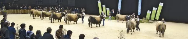 Tribune syndicale et politique, le Sommet de l’élevage sera une occasion pour la profession agricole de discuter des sujets brûlants avec les pouvoirs publics. Entretien croisé avec Michel Joux, président de la FRSEA Auvergne-Rhône-Alpes, David Chauve, secrétaire général, Patrick Bénézit, président de la Copamac et Jocelyn Dubost, président des JA Auvergne-Rhône-Alpes.