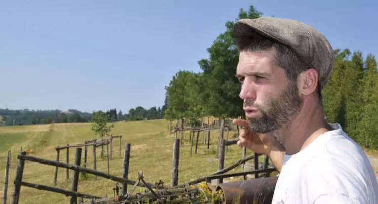 Pour placer ses arbres, Olivier Giroud a pris en compte sa ligne de travail et le passage des tracteurs, pour ne pas être gêné au moment de la fauche des prairies.