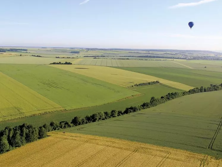 Commandé mi-novembre 2022 par le ministre de l'agriculture Marc Fesneau au CGAAER, le rapport sur l'état des lieux des haies, intitulé « La haie, levier de planification écologique » lui a été remis ce 24 avril.