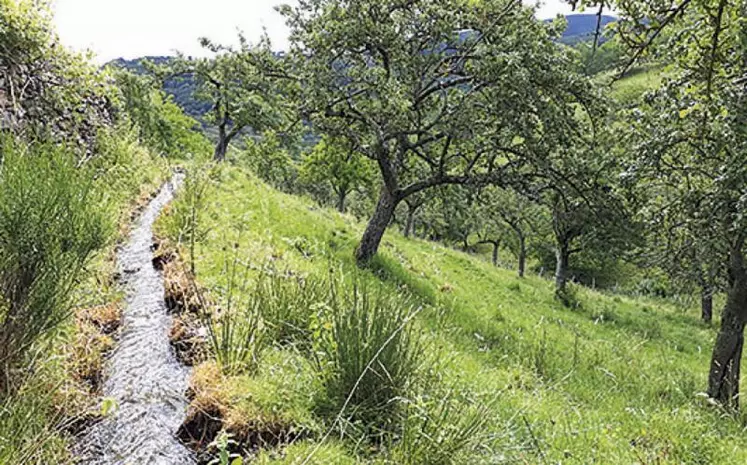 Le tournage du film « Des béals et des hommes » a commencé le 8 juillet dernier. Il se poursuivra en Lozère jusqu’au 14 août.