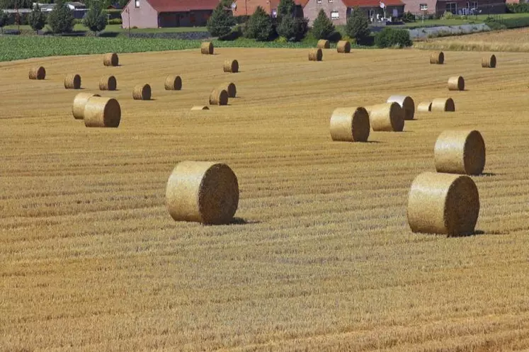 En 2018, production agricole et production agroalimentaire retrouveront un peu des couleurs même si le cours des matières premières agricoles ne devrait pas vraiment augmenter.