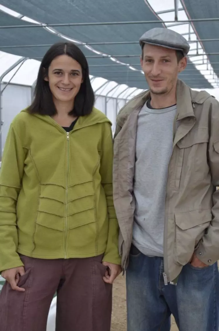 Amandine et son compagnon ont choisi la spiruline. La serre sera pourvue, à terme, de trois bassins de production, chacun équipé d'une roue à aube et d'une table de récolte.