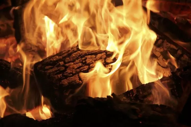 Les Français n’hésitent plus à recourir au bois pour se chauffer.