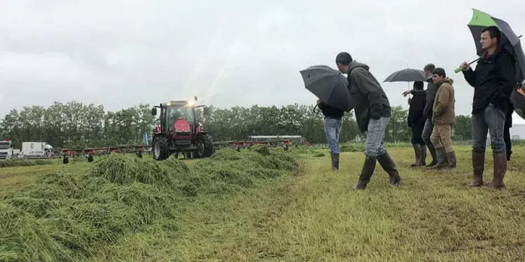 Une bonne gestion de l’herbe permet la réduction des coûts d’alimentation.