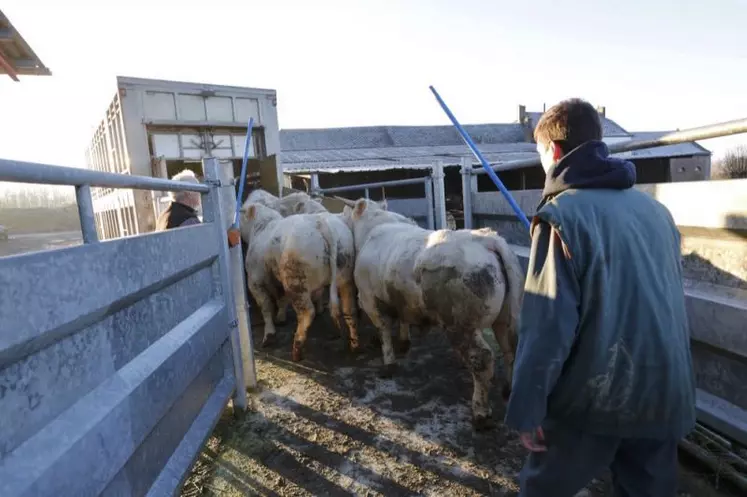 La question du statut de l'agriculteur provoque le débat parce qu'il n'existe pas de définition de l'exploitant agricole dans le droit rural.