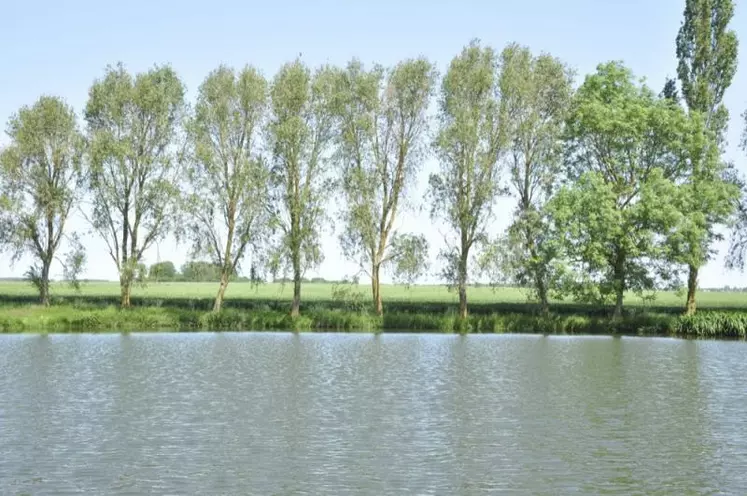 L’agence de l’eau Loire-Bretagne a réaffirmé sa position vis-à-vis du stockage de l’eau.