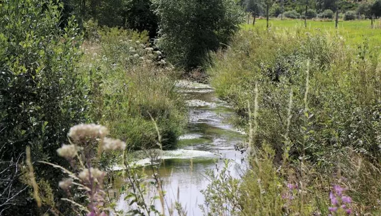 La situation des nappes phréatiques à fin mai est globalement satisfaisante, avec des niveaux proches des moyennes mensuelles à modérément bas, avec toutefois la persistance de déficits, selon le dernier rapport du BRGM (Bureau de recherches géologiques et minières).