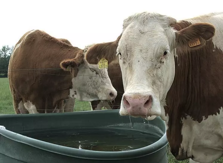 La charte des bonnes pratiques d’élevage recommande une analyse d’eau par an.