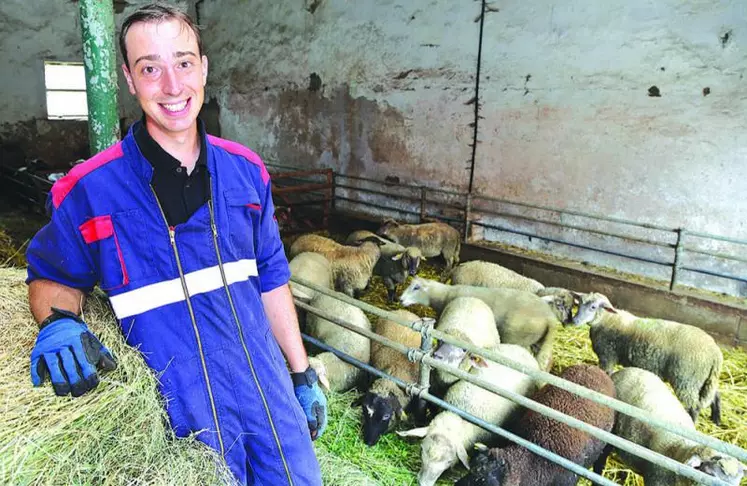 Thomas Diemer est président national des Jeunes agriculteurs (JA).