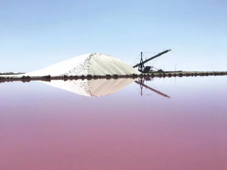 Le principe des marais salants repose sur la cristallisation du sel contenu dans l'eau de mer, sous l'action conjuguée du soleil et du vent. Le sel est ensuite stocké en tas pour former une camelle d'une hauteur de 15 à 20 mètres.