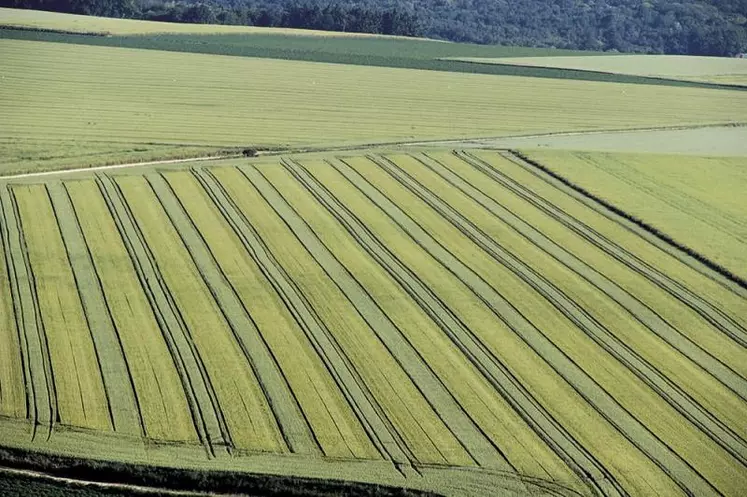 L'agriculture à haute valeur environnementale (HVE) est une certification créée et encadrée par le ministère de l'Agriculture, de l'Agroalimentaire et de la Forêt.