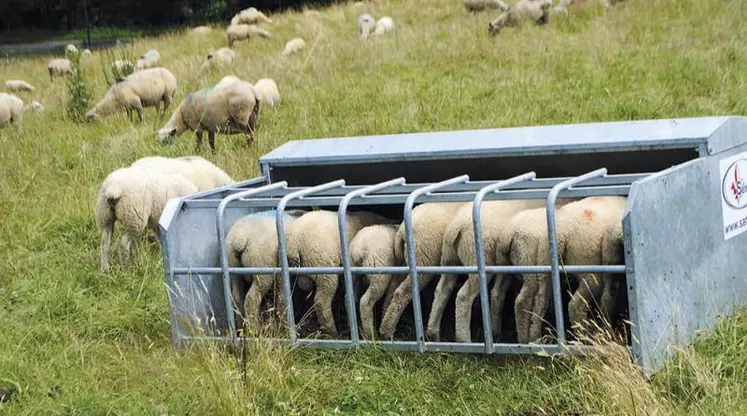 La fréquentation du nourrisseur est liée à la qualité de l’herbe disponible.