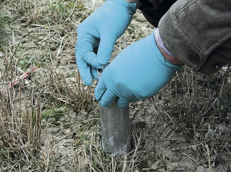 La mise en place des pièges ou appâts est très gourmande en temps.