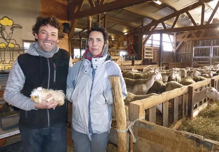Le Gaec Ferme La Leie, géré par Nicolas et Laure Charroin, compte aujourd’hui 80 brebis laitières de race Lacaune.