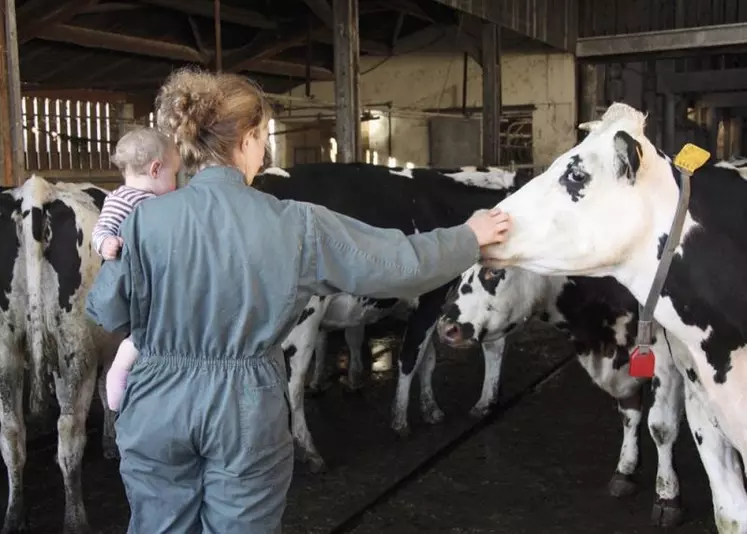 Finie l’embellie observée en 2021 et 2022. La valeur ajoutée dégagée par chaque actif agricole reculerait de 9 % en valeur réelle en 2023, selon l’Insee. À l’origine de cette évolution le retournement des prix dans les productions végétales, la baisse des volumes en productions animales et la poursuite de la hausse des charges.