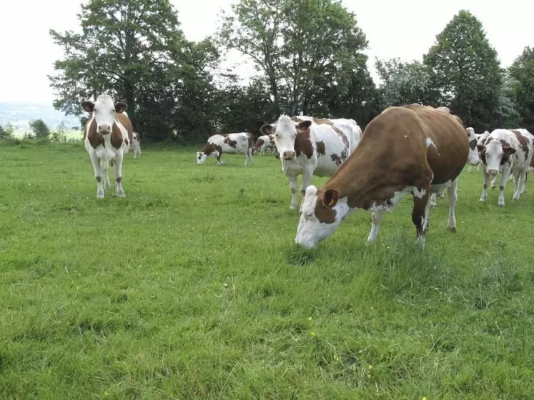 L’échelle de la ferme pourra être utile pour diffuser les bonnes pratiques en matière de réduction des émissions, mais est-elle adaptée en termes de politique ? Pour les experts, si la neutralité carbone espère entraîner une véritable transition, elle doit s’envisager à l’échelle de l’assiette, du territoire, ou de la filière.