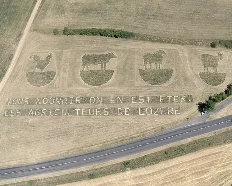 Un coq, une vache, une brebis et une chèvre sont apparus dans le champ d’André Boiral. Une vingtaine d’agriculteurs de la FDSEA ont mis la main à la pâte.