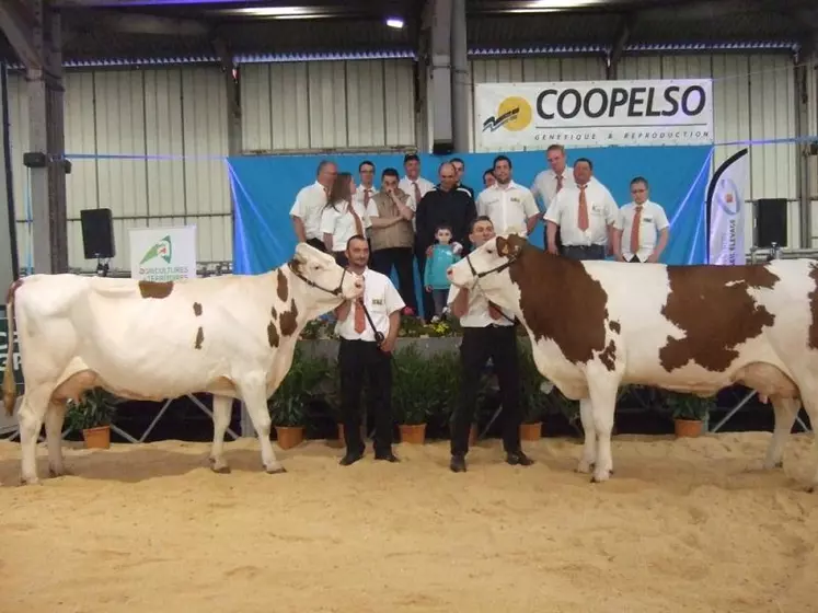 Blanche, meilleure mamelle adulte et Debranche championne adulte Montbéliarde.