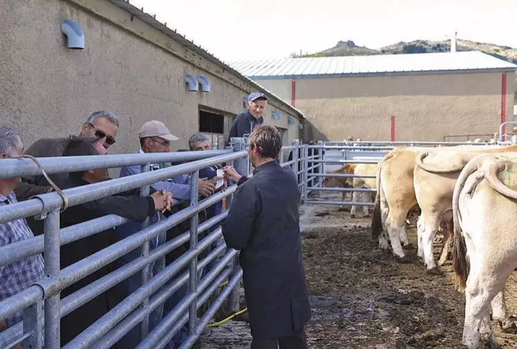 Vendre ses animaux sur sa ferme, c’est le principe de cette journée lozérienne.