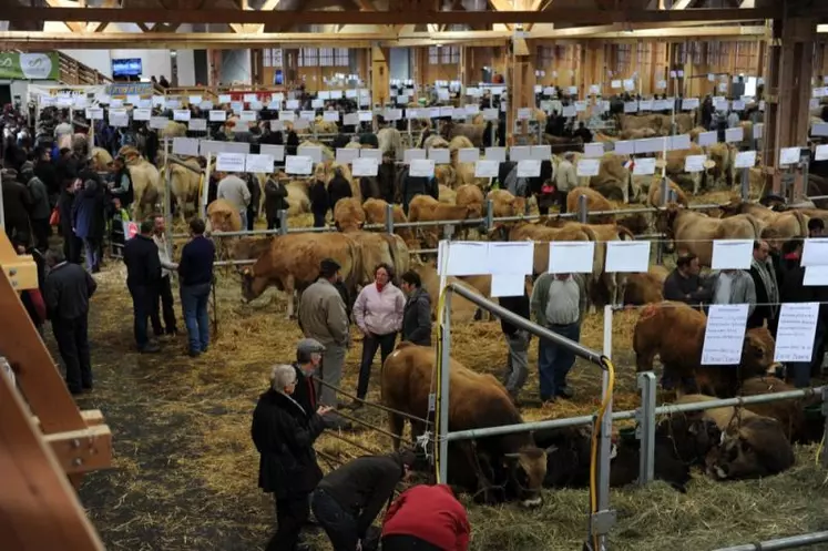 La grande halle d'Aumont-Aubrac, comble en ce week-end de concours.