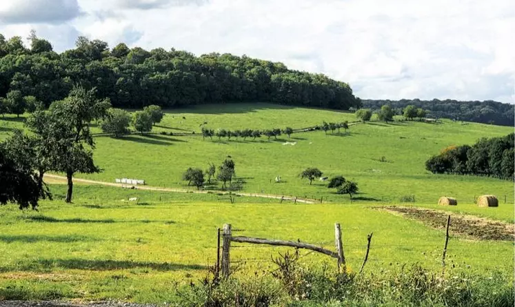 La Codar a donné un avis favorable au projet de décret relatif à la réévaluation des pertes indicielles sur prairies. Finalement rassurée par le ministère sur le réseau d'observation de pousse de l'herbe, la FNSEA attend des précisions. À l'inverse, la FNB, la FNO et la FNEC dénoncent le texte.