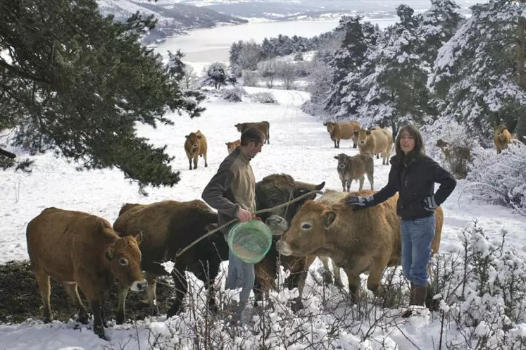Eugénie Brajon et Damien Martin sont éleveurs en bovin viande sur les rives du lac de Naussac, à Briges, commune d’Auroux.