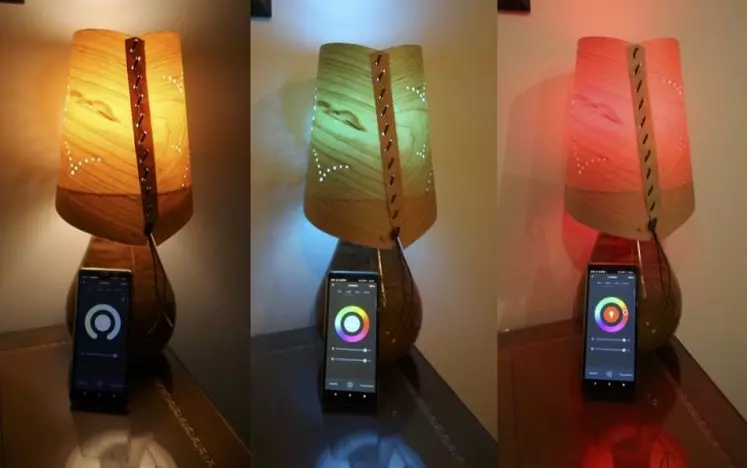 Les ampoules LED connectées permettent une variation de la lumière mais aussi des couleurs afin de créer des ambiances en fonction des besoins.