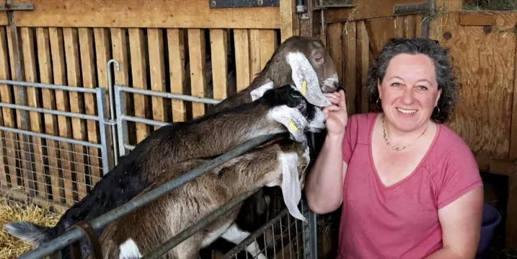 L'association française de la chèvre anglo-nubienne laitière (Afcal) a vu le jour fin février. Son siège est à Brette, en Drôme, mais elle réunit des éleveurs de toute la France. Rencontre avec sa présidente, Céline Brès.