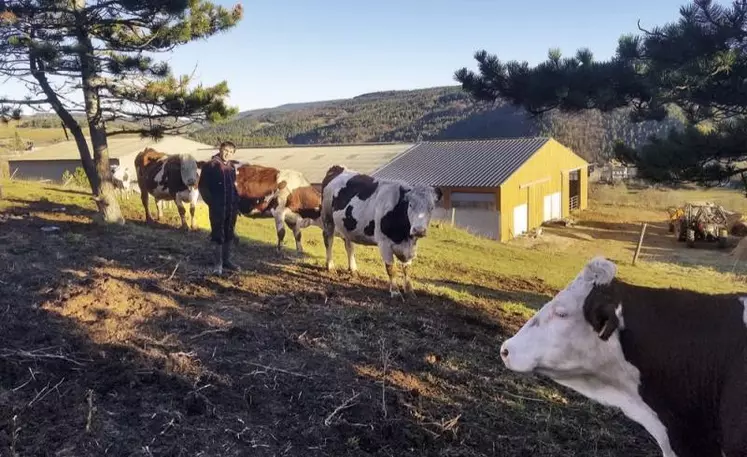 Installé à Allenc, Christophe Jaffuer élève des vaches laitières et allaitantes. En 2017, il décide de convertir l’exploitation en agriculture bio pour gagner en sérénité. Aujourd’hui il ne regrette pas son choix, et envisage l’avenir avec un peu moins d’allaitantes et plus de lait.