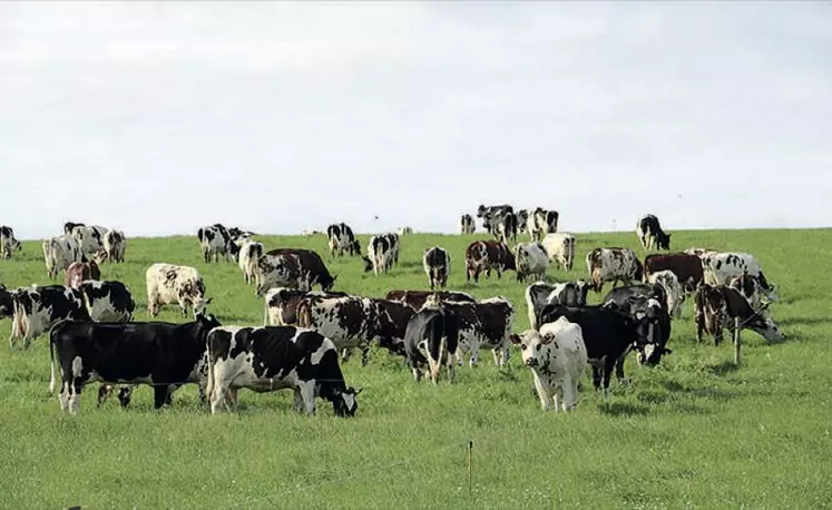 Le projet Life Carbon Dairy a permis de mettre en avant les contributions positives des élevages pour montrer leurs atouts.