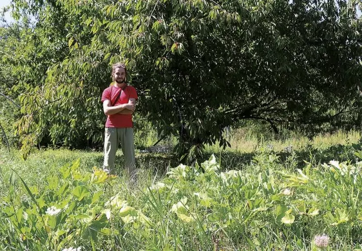 Alexis Tsabalas s'est installé en maraîchage bio en février 2021 sur la commune d'Ispagnac. Particularité de son projet ? Il a décidé de servir les restaurations collectives* en priorité.