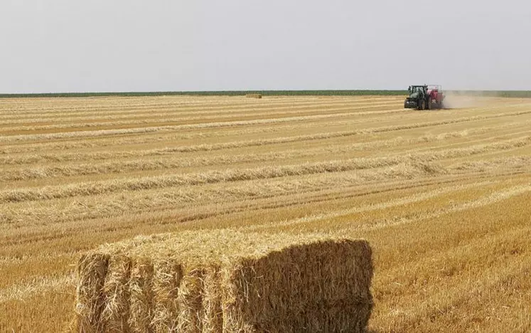 Depuis plusieurs années, la Chine stocke en permanence 475 millions de tonnes de céréales alors que sa production est chaque année déficitaire. Elle en importe donc plusieurs dizaines de millions de tonnes, notamment du Brésil et d’Australie, pour maintenir ses stocks à niveau constant tout en les renouvelant.